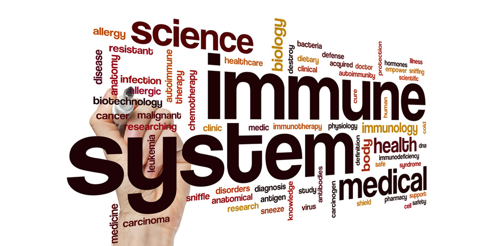 Immune system word cloud